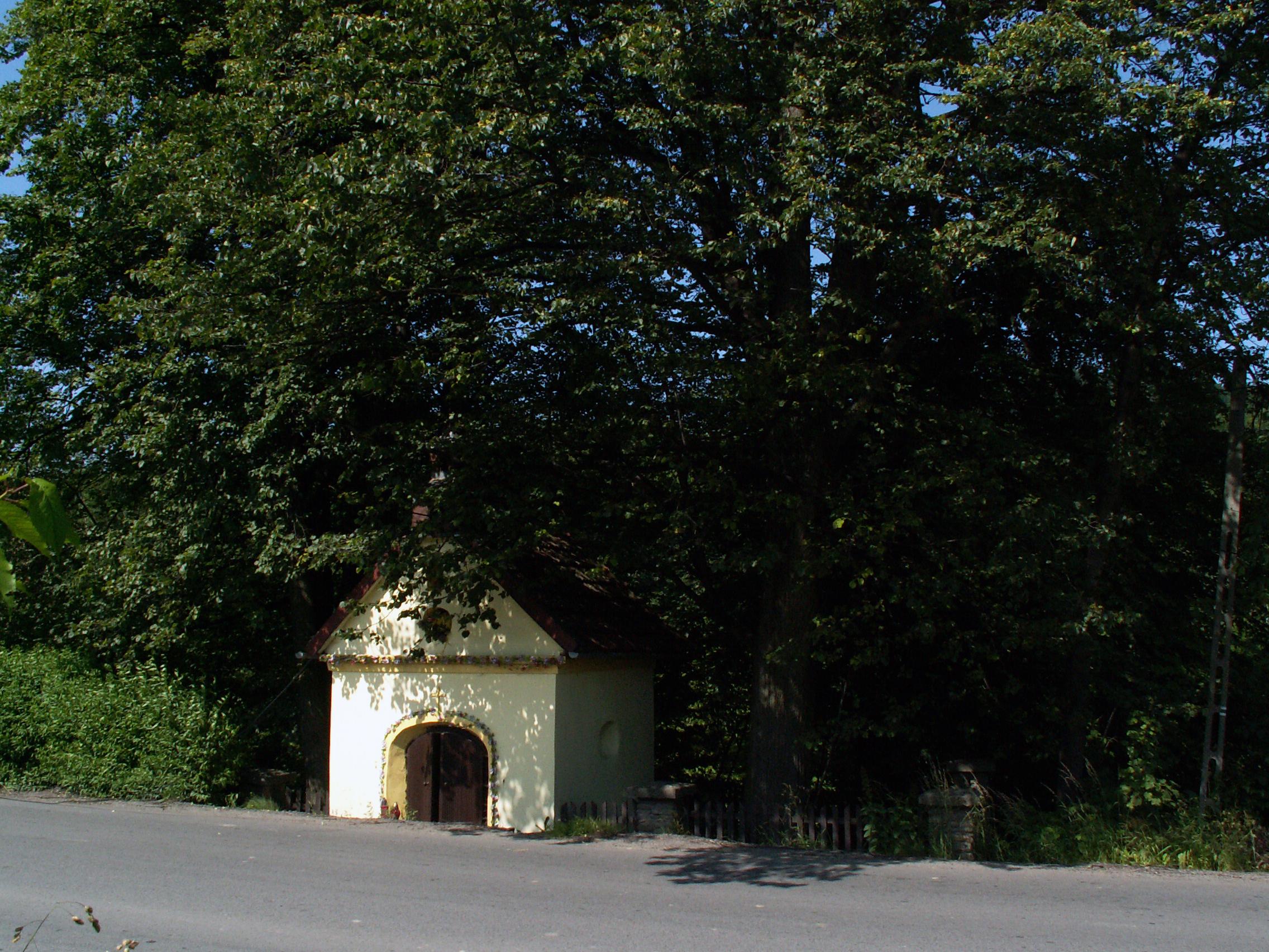 Cmentarz wojenny nr 374